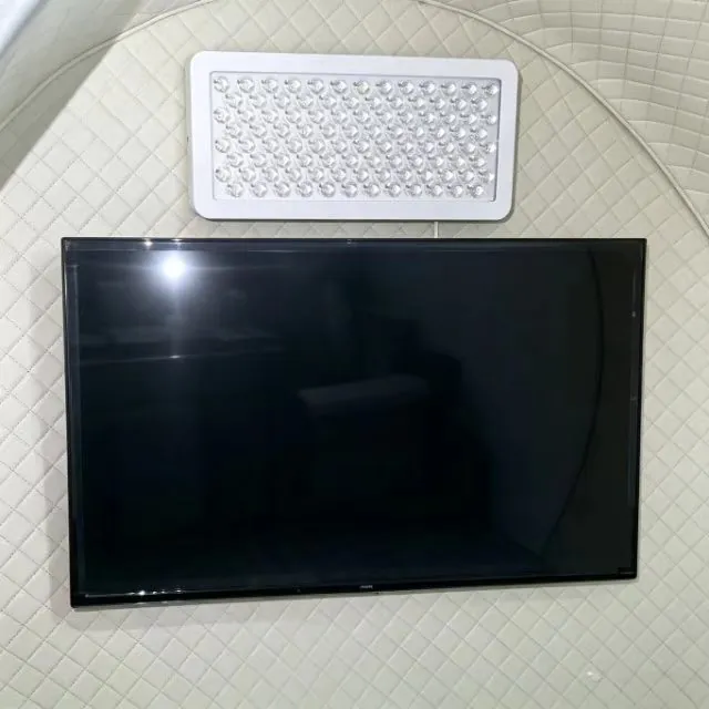 Television